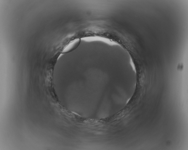 X0000111521397200908251125
