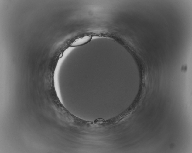 X0000111521398200908251125