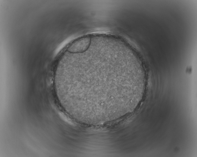 X0000111521400200908251125