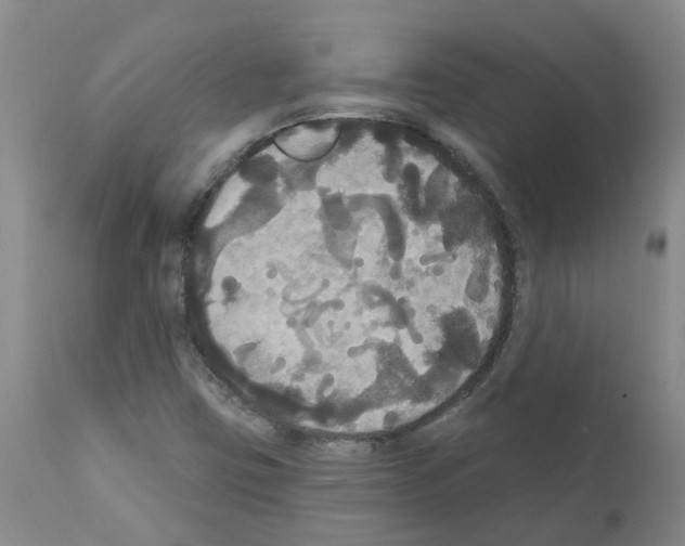 X0000111521403200908251125