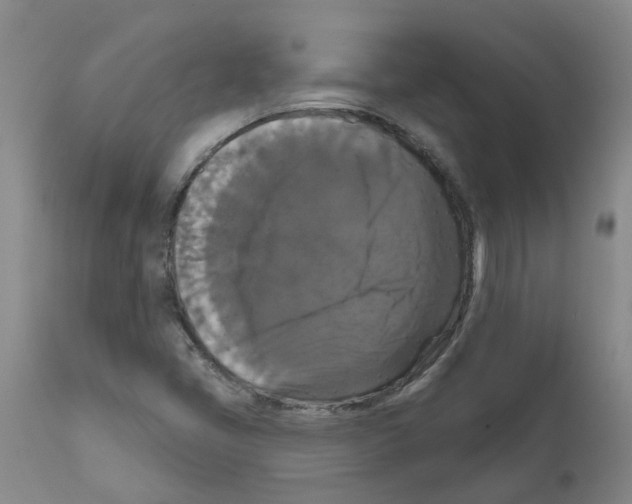 X0000111521405200908251125