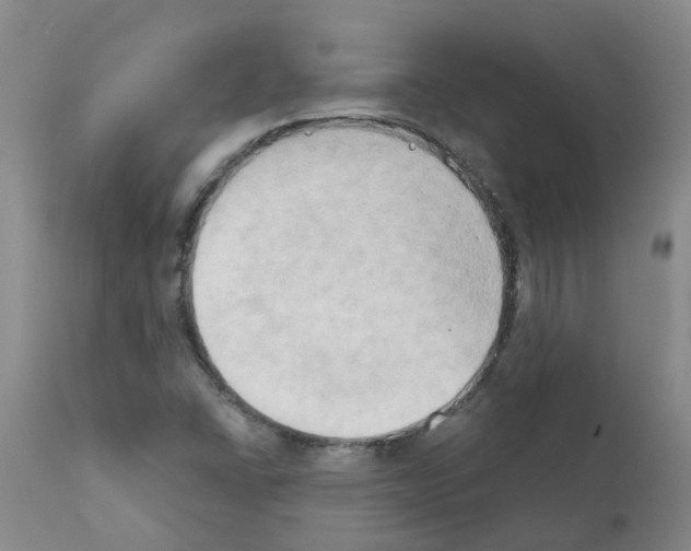 X0000111521406200908251125