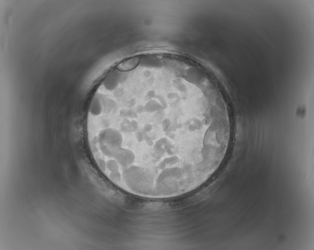 X0000111521407200908251125