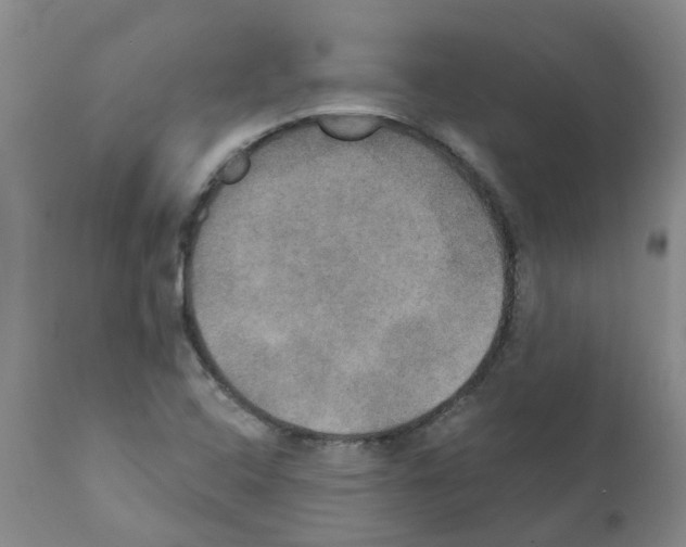 X0000111521408200908251125