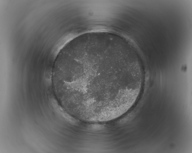 X0000111521409200908251125