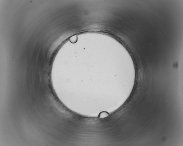 X0000111521410200908251125