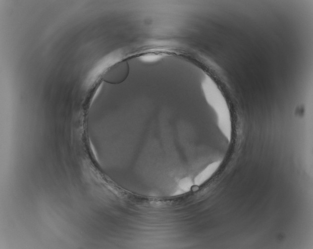 X0000111521411200908251125