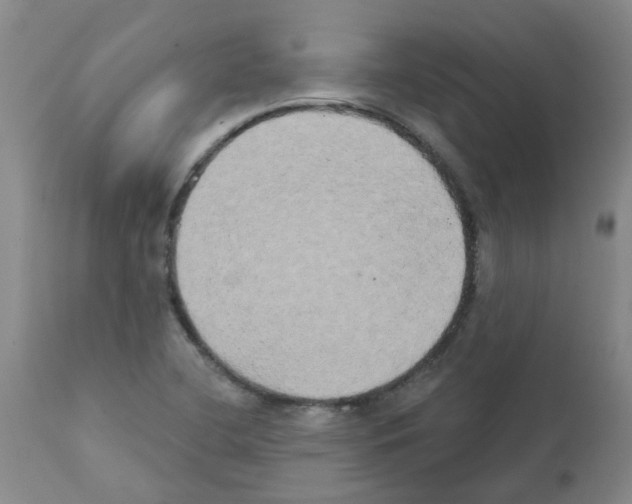 X0000111521412200908251125