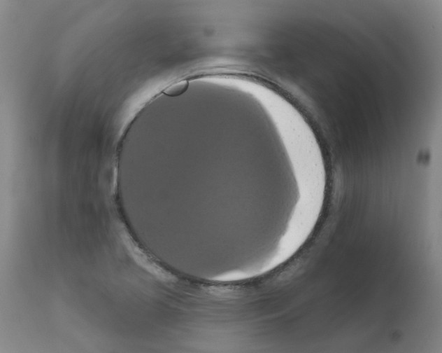 X0000111521413200908251125