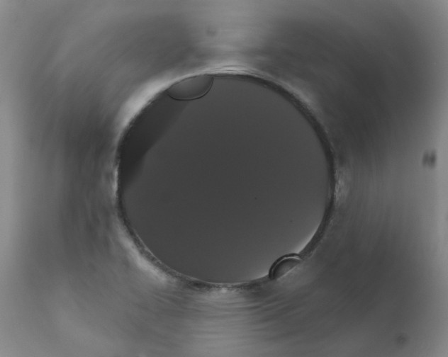 X0000111521414200908251125