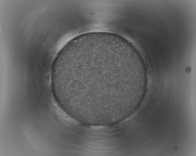 X0000111521415200908251126