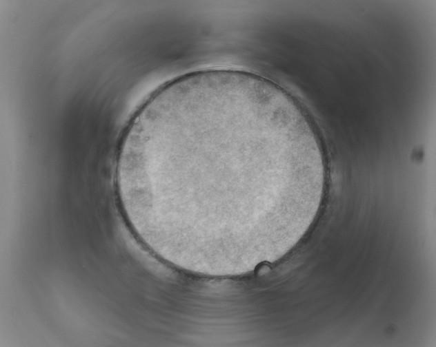 X0000111521416200908251126
