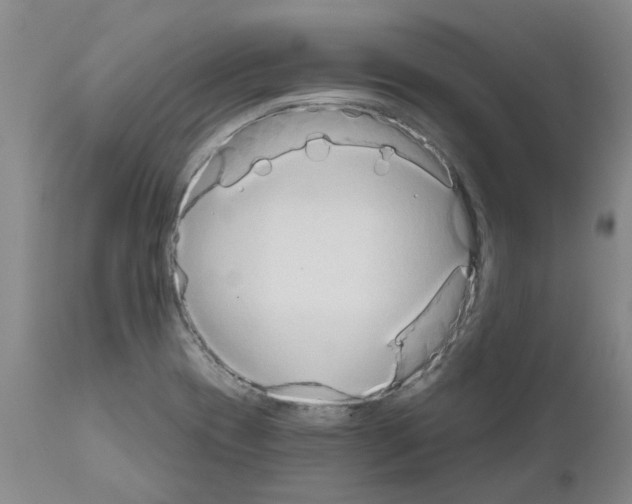 X0000111521417200908251126