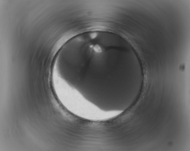 X0000111521418200908251126