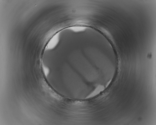 X0000111521419200908251126