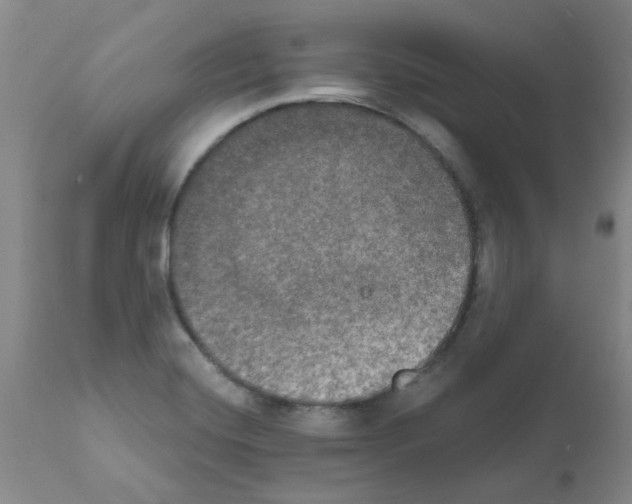 X0000111521420200908251126