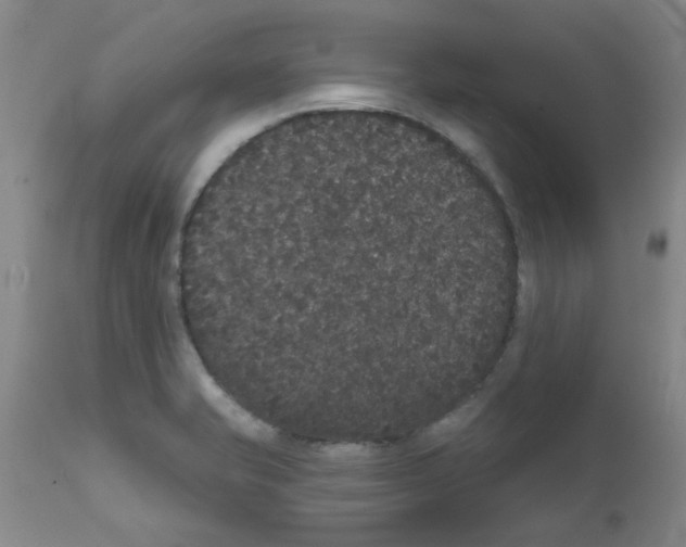 X0000111521421200908251126