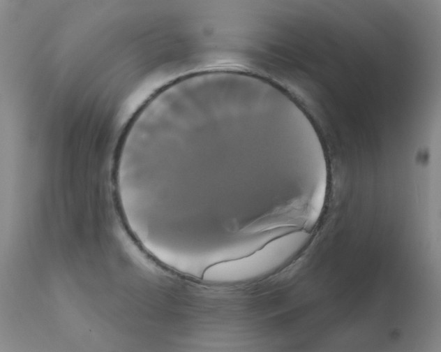 X0000111521422200908251126