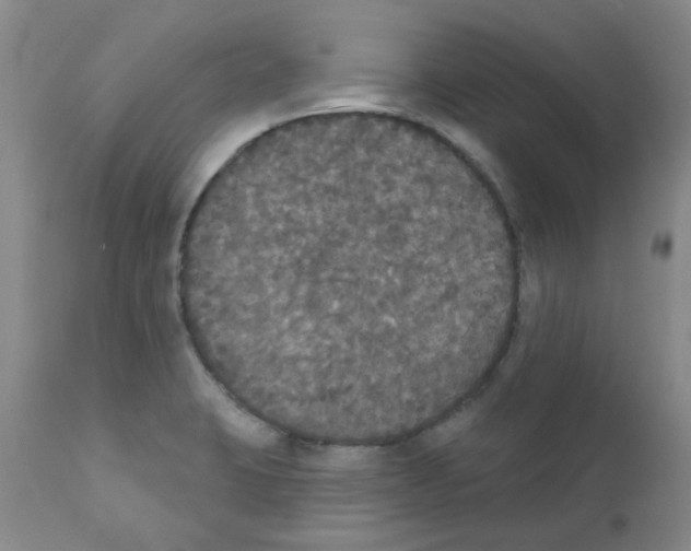 X0000111521423200908251126