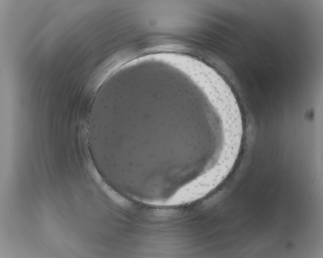 X0000111521425200908251126