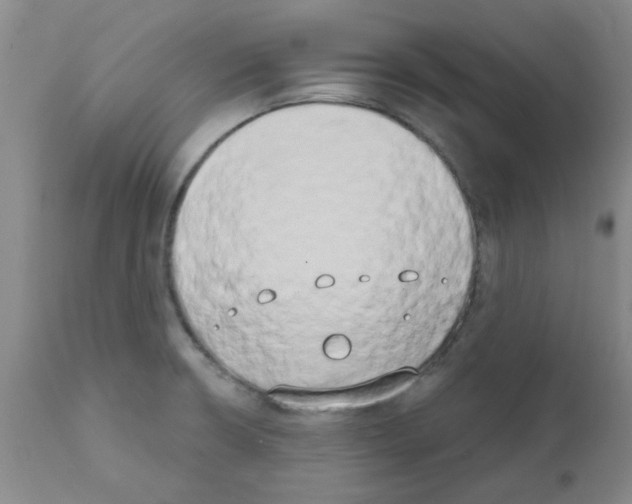 X0000111521426200908251126