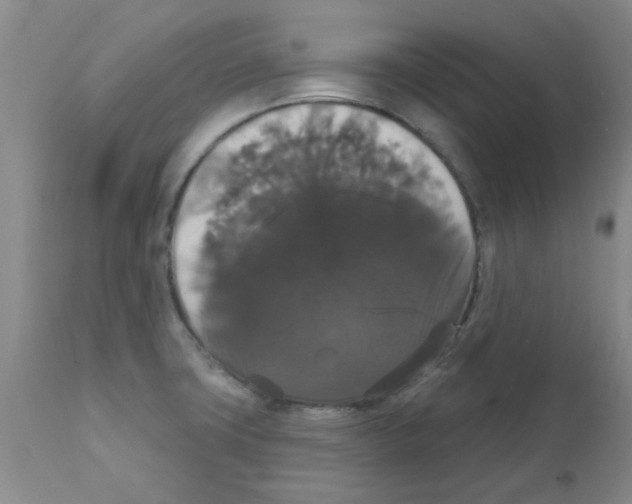 X0000111521427200908251126