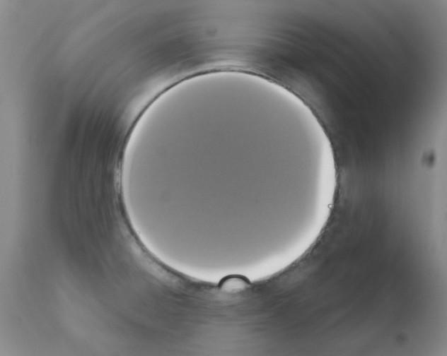 X0000111521428200908251126