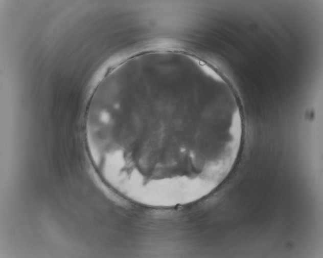 X0000111521429200908251126