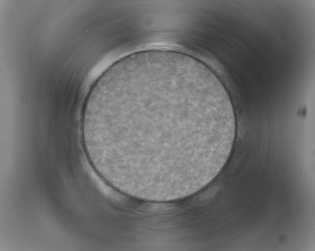 X0000111521430200908251126