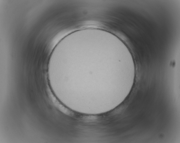 X0000111521431200908251126