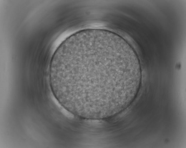 X0000111521432200908251126