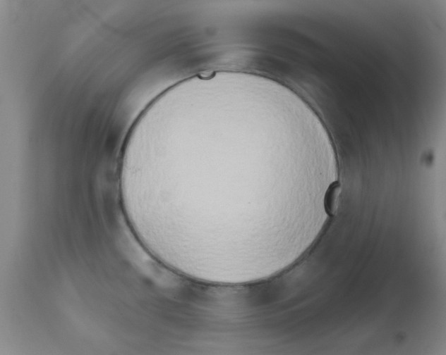 X0000111521434200908251126