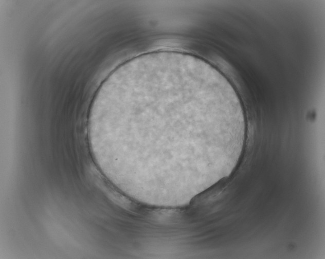 X0000111521435200908251126