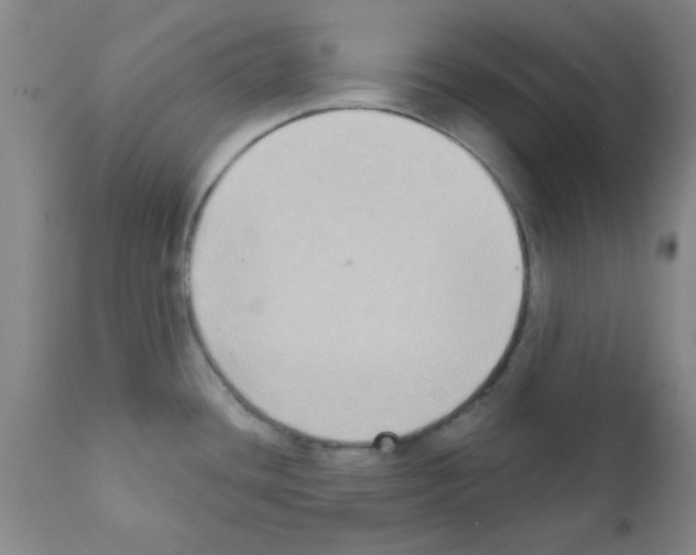 X0000111521436200908251126