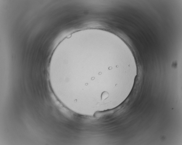 X0000111521439200908251126