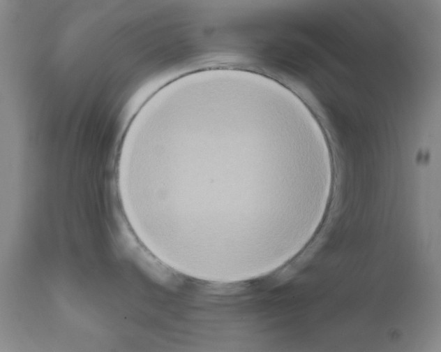 X0000111521440200908251126