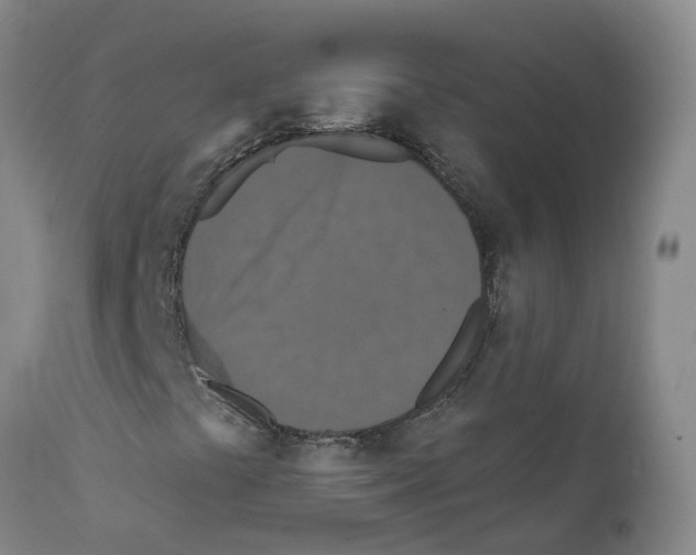 X0000111521441200908251125