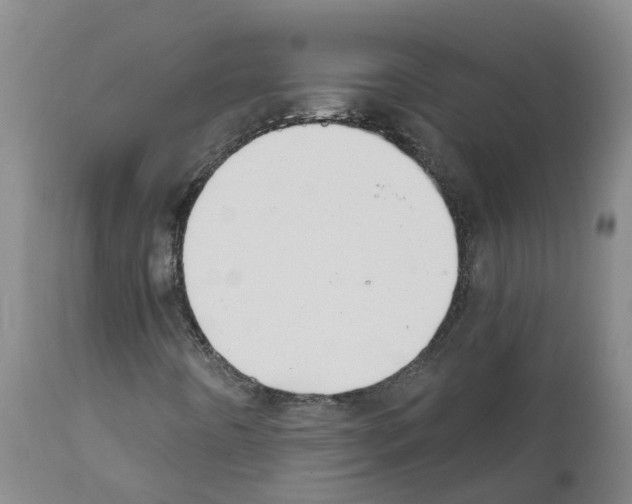 X0000111521442200908251125