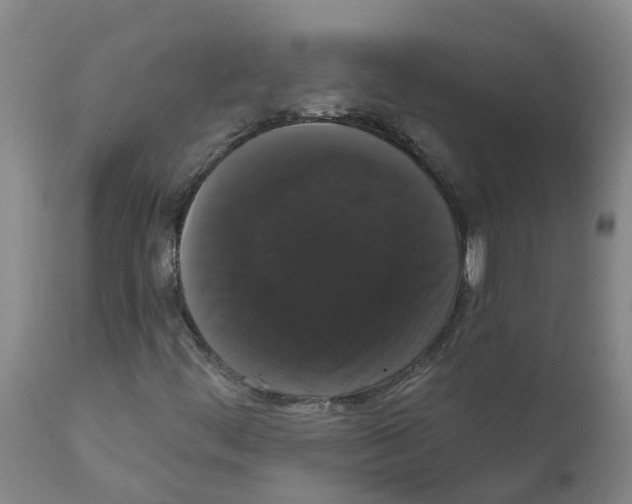 X0000111521444200908251125
