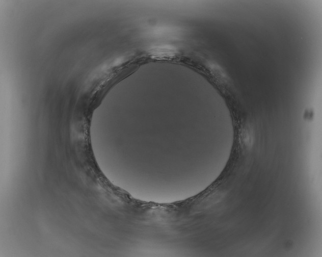 X0000111521445200908251125