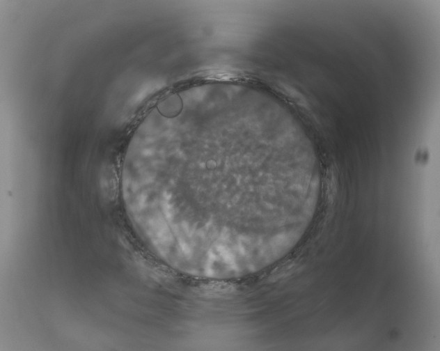 X0000111521446200908251125