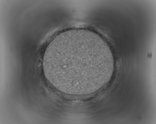 X0000111521447200908251125