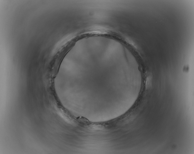 X0000111521448200908251125