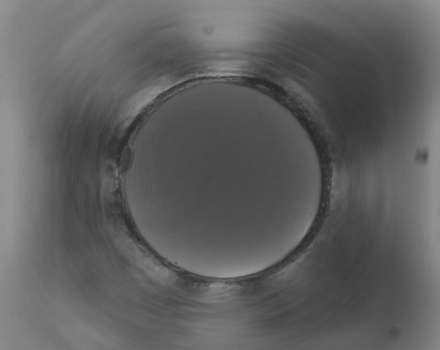 X0000111521449200908251125
