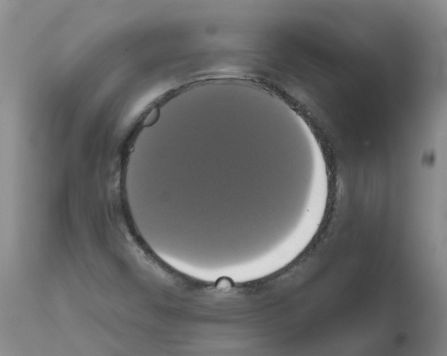 X0000111521450200908251125