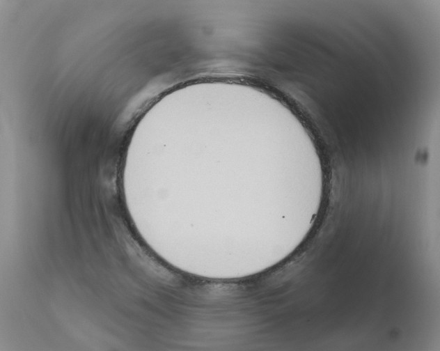 X0000111521451200908251125