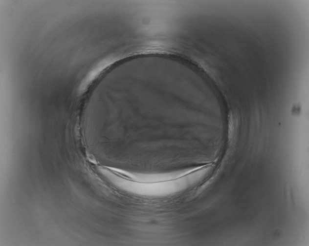 X0000111521453200908251125