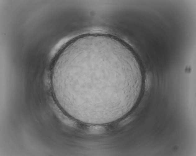 X0000111521454200908251125