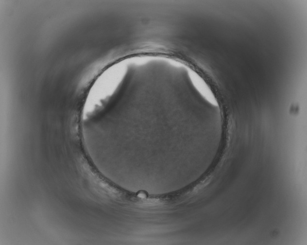 X0000111521455200908251125