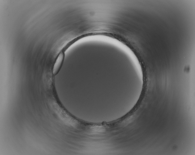 X0000111521457200908251125
